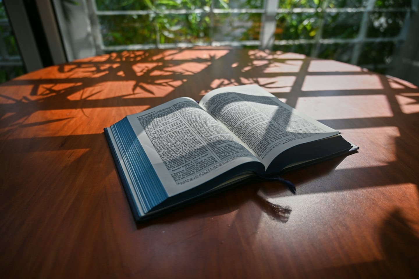 Un libro aperto con bordi blu appoggiato su un tavolo di legno.